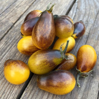 Індіго кумкват (Indigo Kumquat)