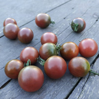 Винний чері